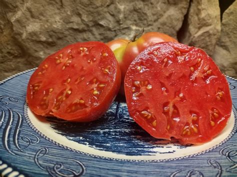 Organic Heirloom Beefsteak Tomato Ponderosa Pink Tomato Seeds Available