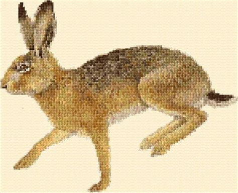 16 count white aida stitches: Hare|37|315|x-stitch|10 Free Patterns Online