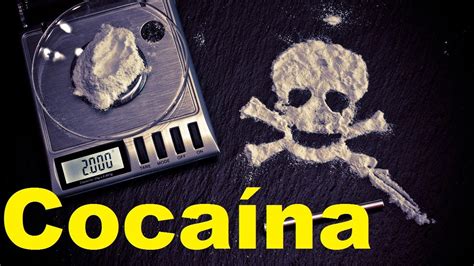 Datos Y Curiosidades Sobre La Cocaina Tu Cerebro Drogado Con Cocaina