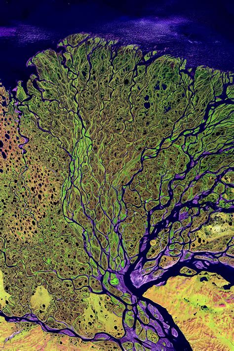 Infinity Imagined The Lena River Delta Imaged In Infrared Light By