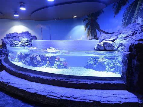 Cube Oceanarium Touch Pool Exhibit Aquascape Aquarium Reef Aquarium
