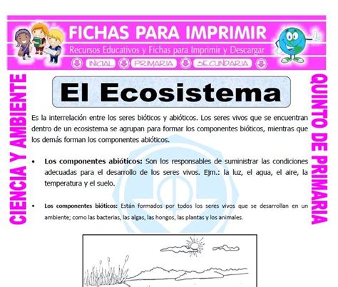 La familia fernández es muy original. Pin en Recursos primaria