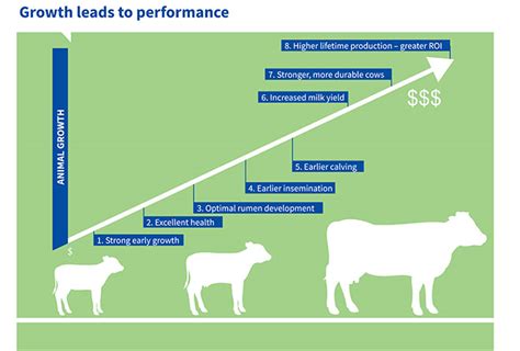 Calf Rearing Solutions Agrivantageagrivantage