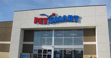 The Top Pet Stores For Dogs Cats Birds And More