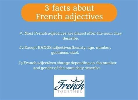 The Most Common French Adjectives And How To Use Them