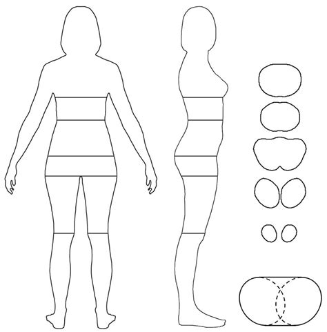 If you want to take your drawing to the next level, make the body outlines for your female figures instead of freehand drawing the body, create a simple grid of lines and make horizontal lines that are. Figure S2. Analysis of female body shape. Left: To determine... | Download Scientific Diagram