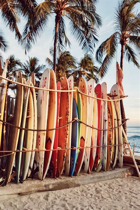 Enjoy The Palm Life Usapalm Com Hawaii Aesthetic Beach Aesthetic Surf Aesthetic
