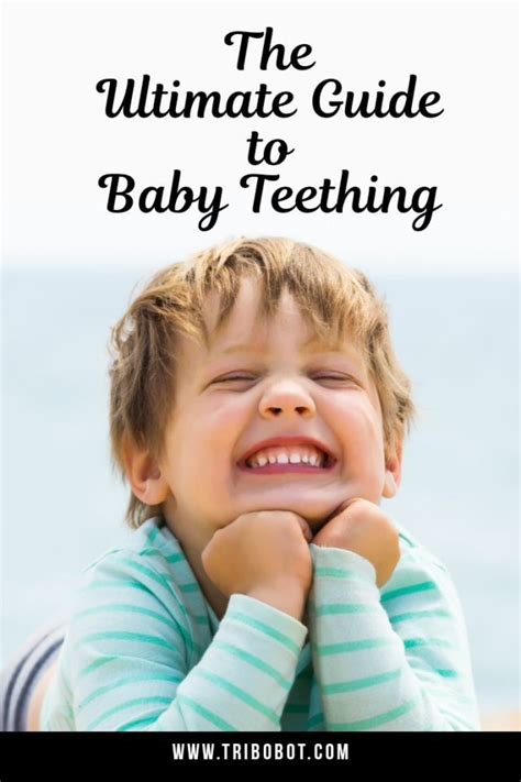 Baby Teething Survival Guide Schedule Symptoms And Remedies