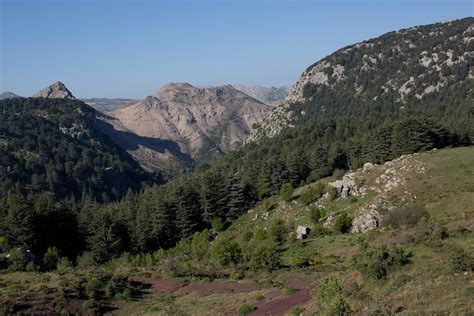 Lebanese Mountains Tannourine Cedar Reserve Nice Area Beautiful