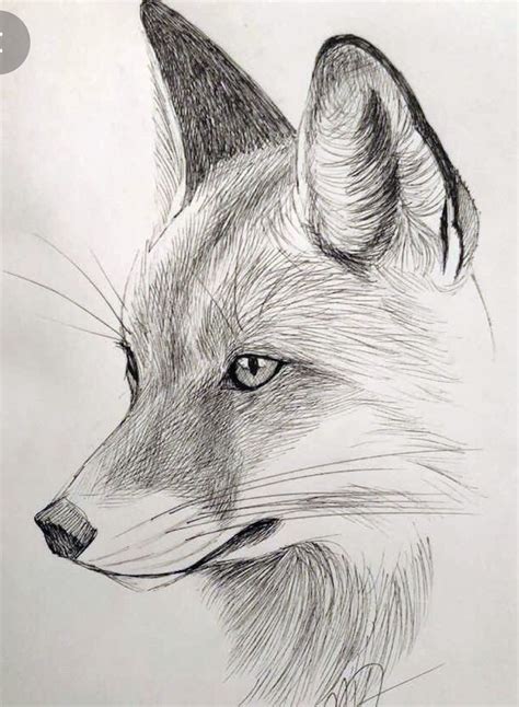 Realistic Animal Drawings Pencil Drawings Of Animals Art Drawings