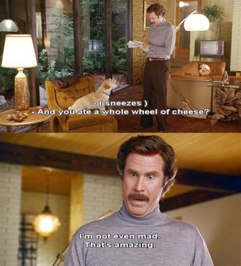 Funny Quotes From Anchorman Quotesgram