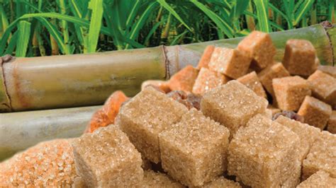 Alfa Laval - Sweet news to a sugar-ethanol plant in Brazil