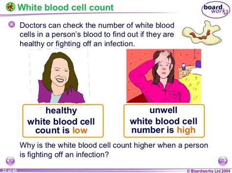 High White Blood Cell Count Protect Healthprotect Life Total