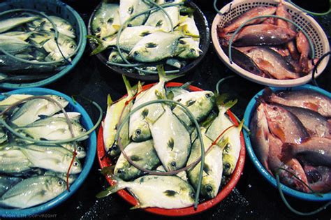 Merchants at the senoko fishery port work throughout the night at the atmospheric wet market to ensure singapore gets its fishy fix. 25 Things To Do In North Singapore That You Never Thought ...