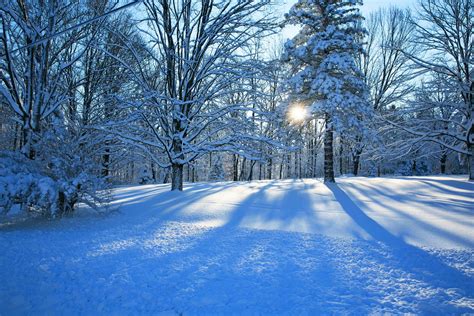 Nature Winter Snow Road Tree Forest Sky Landscape Forest