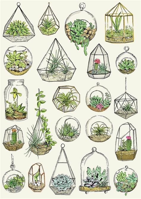 Pin By Natasha On Растения Plant Drawing Plant Illustration Plant