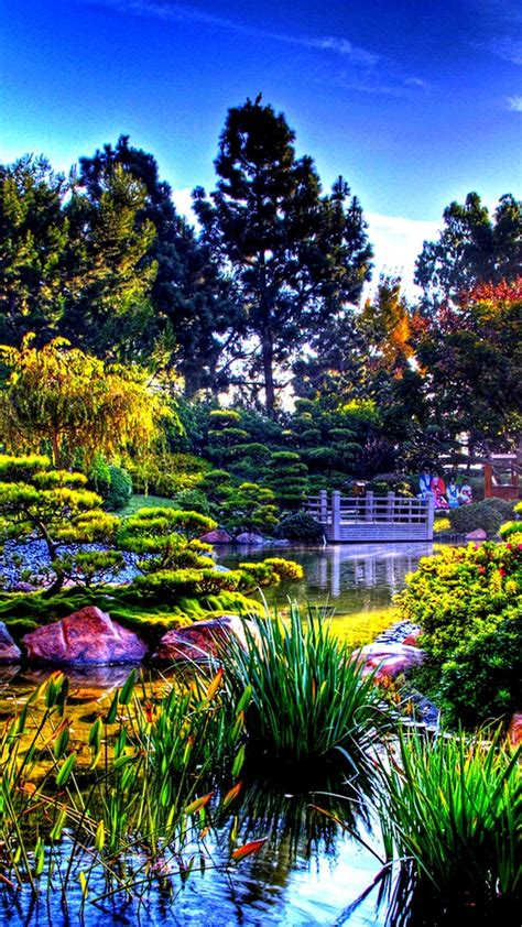 Colorful Nature In The Sun Rays Japanese Garden Wallpaper Wallpaper