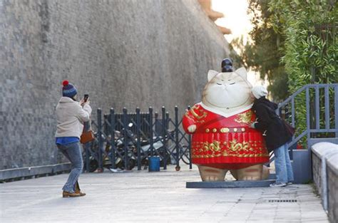 故宫现巨型御猫 肥肥的让游客忍不住想撸 趣历史网