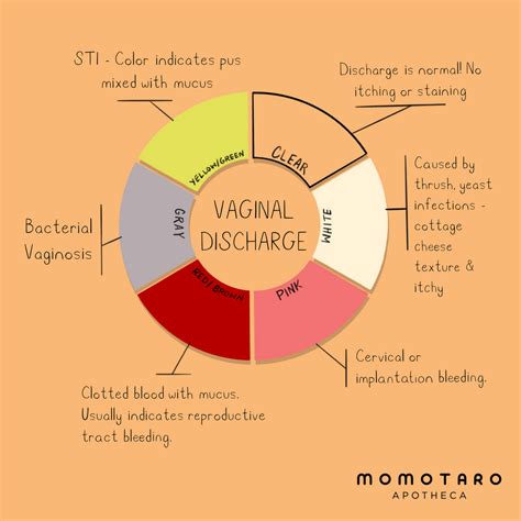 decoding your vaginal discharge momotaro apotheca