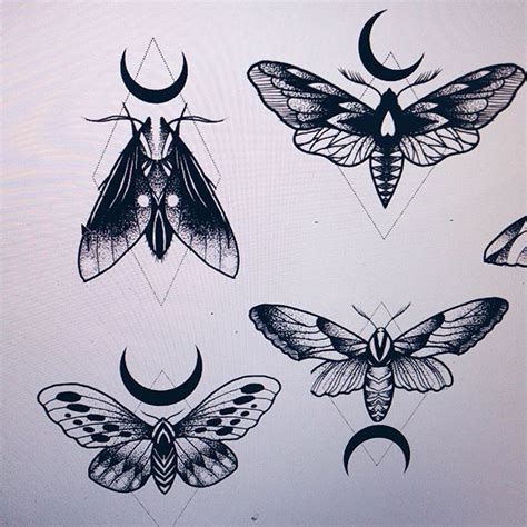 Image Result For Moth Tattoo Moth Drawing Moon Moth Tattoo School