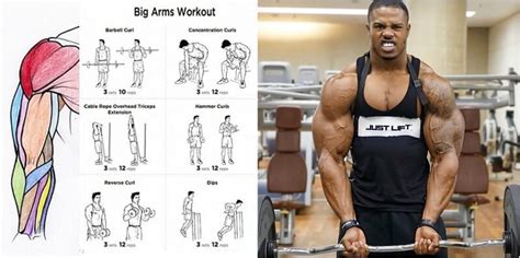 See How To Get Bigger Arms In Three Steps Project Next Dumbbell Bicep Workout Big Arm