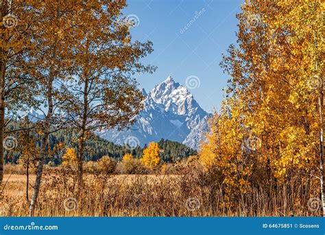 Teton Autumn Landscape Stock Image Image Of Teton Nature 64675851