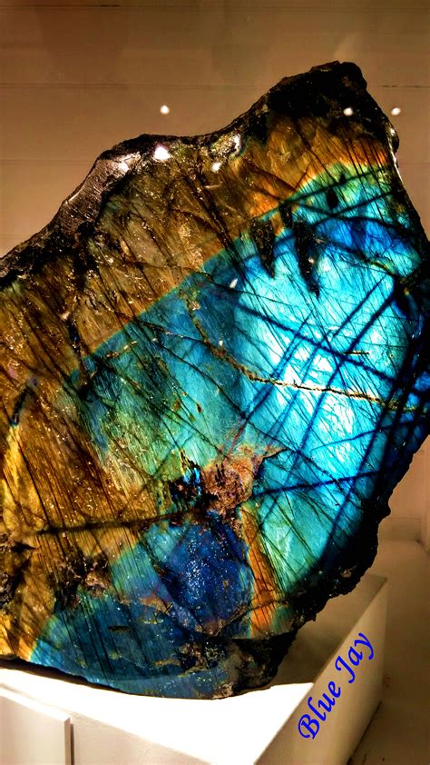 56 – KAZN AM1300 中文廣播電臺