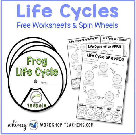 Life Cycles Free Activities Whimsy Workshop Teaching