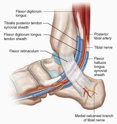 Podiatric Associates Foot Ankle Center Tarsal Tunnel Syndrome In Pembroke Pines