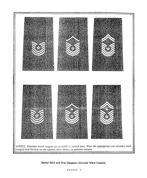 A Chronology Of The Enlisted Rank Chevron Air Force Security Forces