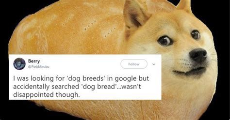 Doge Bread Raww