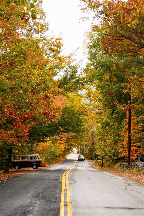 8 Country Roads In New Hampshire That Are Pure Bliss In The Fall Fall
