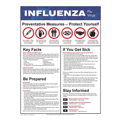Influenza Flu Virus Preventative Measures Protect Yourself Poster