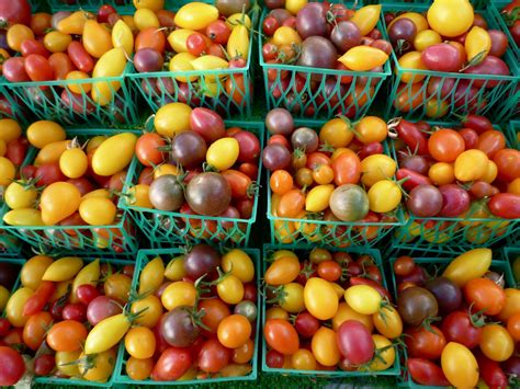 Tomatoes The Seasonal Gourmet