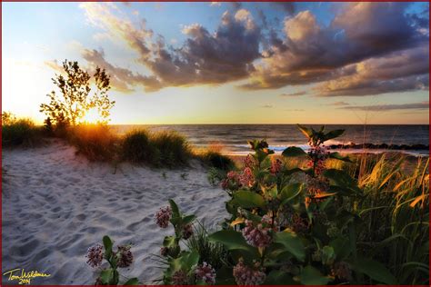 Wallpaper Sunlight Landscape Sunset Sea Flowers
