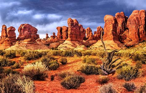 Arches National Park Utah Rocks Desert Usa Plants Clouds