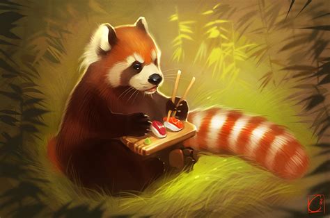 Fonds Decran Petit Panda Panda Roux Sushi Dessiné Animaux Télécharger