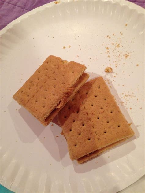 Add the sugar and vanilla and beat again. Graham crackers and peanut butter!!! Tastes exactly like a ...