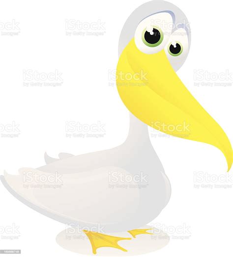 Pelican Cartoon Stock Illustration Download Image Now Pelican Cute