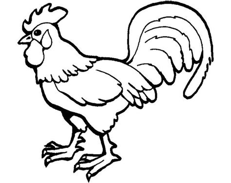 Coloring pages are all the rage these days. Hen Coloring Pages For Kids at GetDrawings | Free download