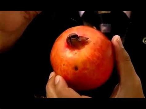 Kehidupan yang bahagia,selamat dan sihat merupakan kehidupan impian semua orang. Sihat Buah Pinggang - sukesihatkah