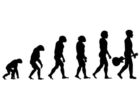 Vector Illustration Evolution Progress Different Human Figures Isolated