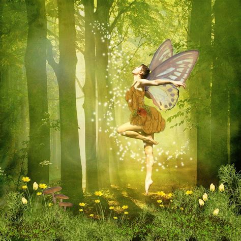 Forest Faery Greets The Sun Faeries Forest Fairy Faeries Gardens