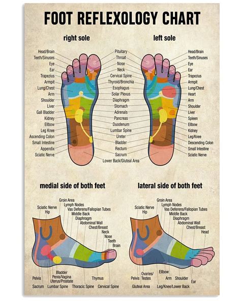 Massage Therapist Foot Reflexology Chart Vertical Poster Etsy