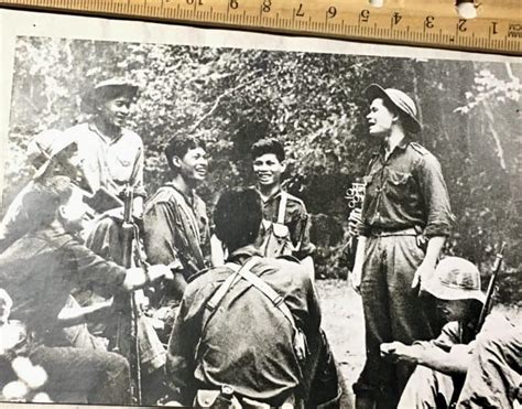 Photograph Of Viet Cong With M Aks And Sks Enemy Militaria