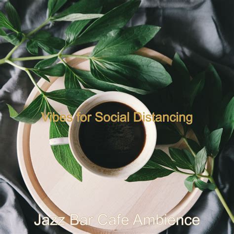 Vibes For Social Distancing Album By Jazz Bar Cafe Ambience Spotify