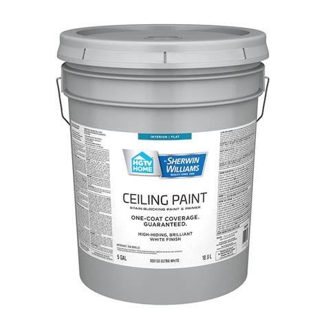 Hgtv Home By Sherwin Williams Flat White Ceiling Paint And Primer 5