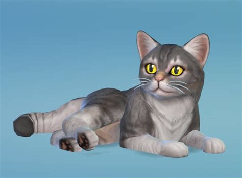 The Sims 4 Cats And Dogs Some More Create A Pet Pics Simsvip