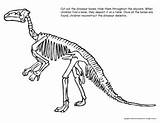 Images of Dinosaur Fossil Printables
