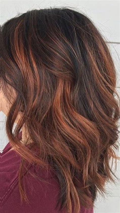 Copper highlights on black hair. Cinnamon copper sombre | Auburn balayage, Brown hair ...